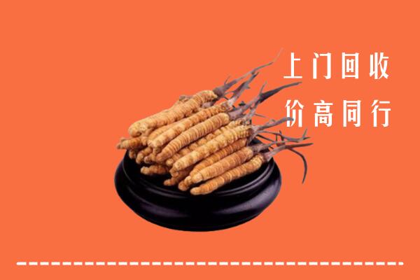 高价求购：婺城区回收散虫草