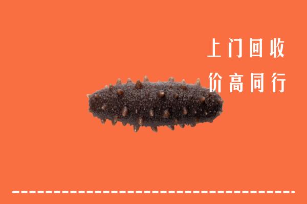 高价求购：婺城区回收海参