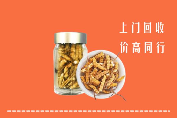 婺城区回收冬虫夏草